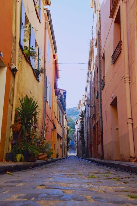 Au Coeur De Ville Avec Terrasse Céret Екстериор снимка